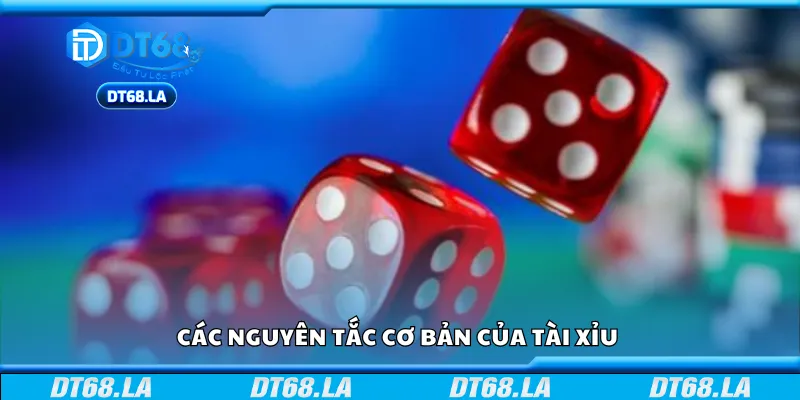 Các nguyên tắc cơ bản của Tài Xỉu